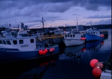 Newfoundland 9