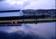 Newfoundland 11