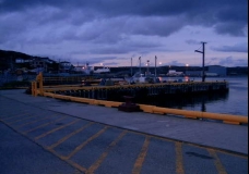 Newfoundland 13