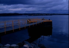 Newfoundland 14