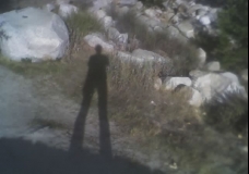 Shadows