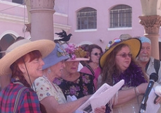 Raging Grannies
