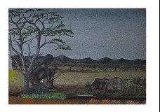 The Gone Grasslands