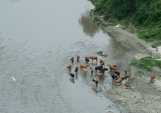 Water For Life in Nepal