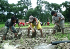 Water For Life in Nepal