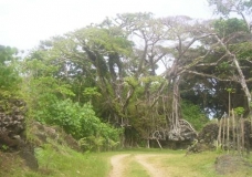 Nambanga