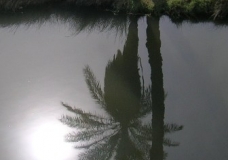 Reflection on water