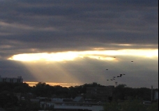 Afternoon Light 6 - Toronto, Canada, September 2002