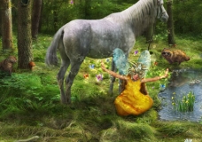 NAAI 2