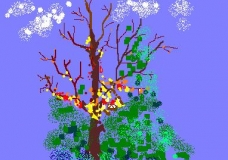Color in Nature