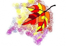 maple leaf