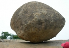 Krishna's butterball