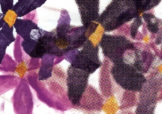 :: flowers ::
