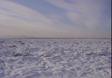 Frozen Amur
