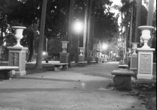 Bancos de Parque Lezama