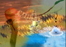 Gumnuts and the Inner Vision