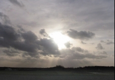Rotterdam Fields - The Netherlands, January 2002