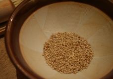 Seeds