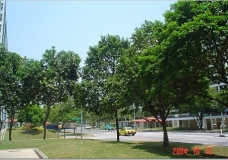 Quiet Street