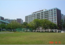 Field