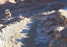Snow in Mount Sinai II