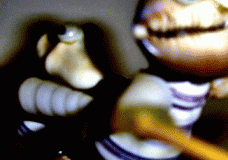 Shells are people too.