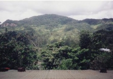 View of Ranomafana from Hotely Ravenala