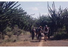 Hiking in the Spiny Forest