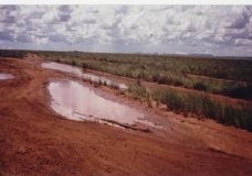 Tropical Rainstorms and Madagascan Roads