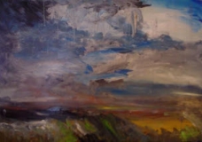 Sugarcane Fields6