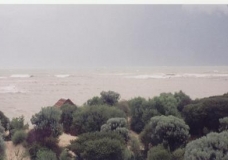 Cyclone 2001