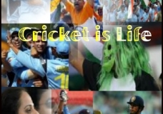 Cricket is Life