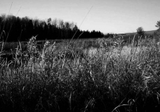 Nature-4 Mile