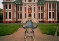 Cat with hat