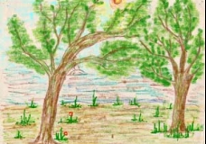 the nature