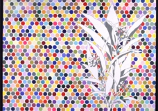 botanical colour-blind test