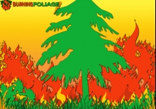 BURNINGfoliage