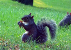 Is this my dinner?