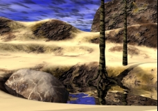 Sheltered Oasis