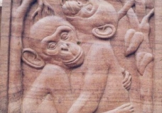 chimpanzee family