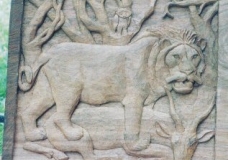 A Lion with an antilope