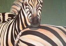Zebra Effect