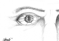 :: SKETCH =- 4
