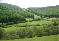 GREENERY!!