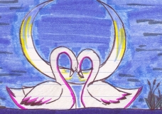 Swan Lake