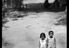 Children of Admiral