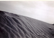 Sand dune