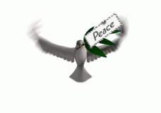Peace is the way