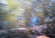 testing