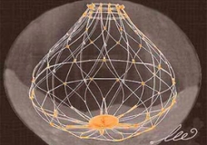 GENE MODEL DNA